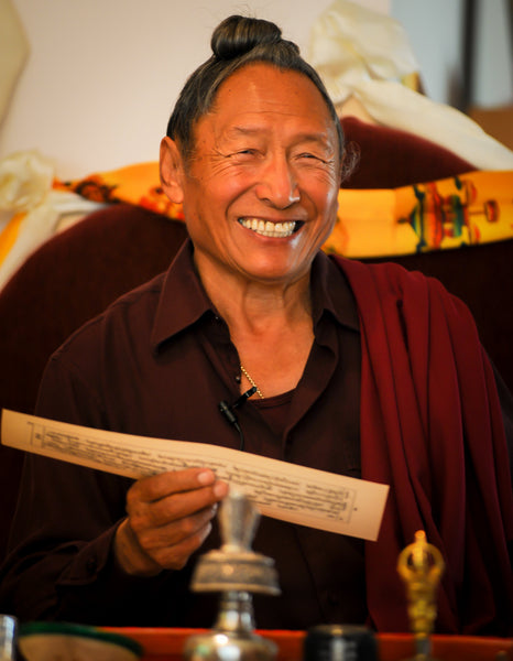 Tsok Khang Dechen 2010 DVDs