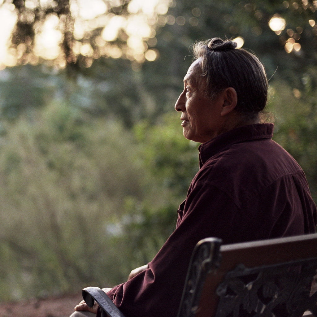 Self-Liberation through Seeing with Naked Awareness DVDs