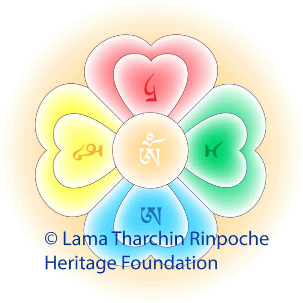 Dream Yoga (Series 08) mp4 & mp3