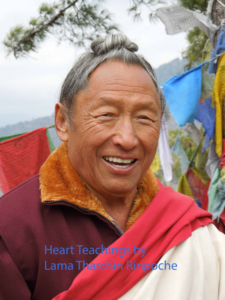 Photos Lama Tharchin Rinpoche