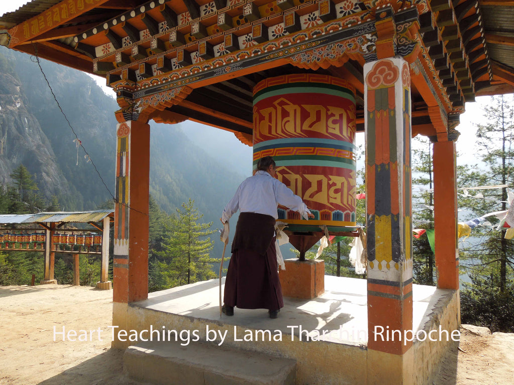 Photos Lama Tharchin Rinpoche