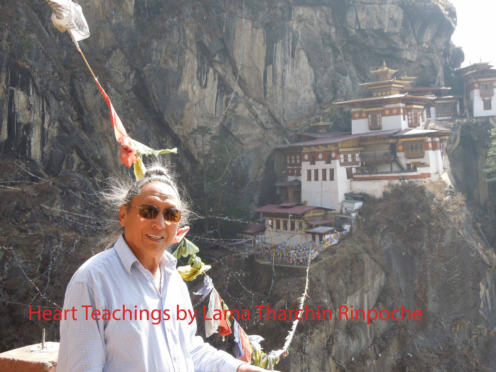 Photos Lama Tharchin Rinpoche