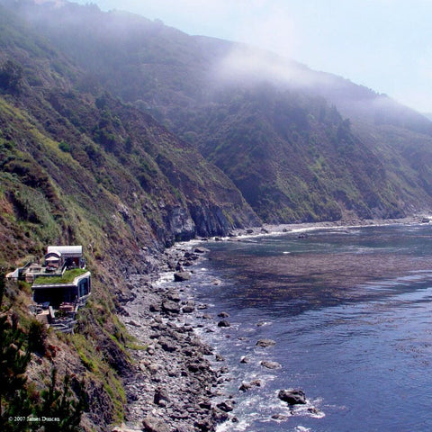 Drop of Nectar at Esalen DVDs