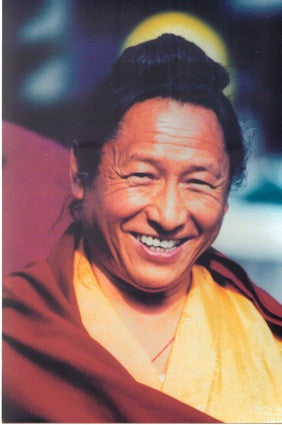 Meditation with Lama Tharchin Rinpoche DVD