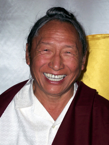 Wisdom and Skillful Means Naropa 2005 DVD