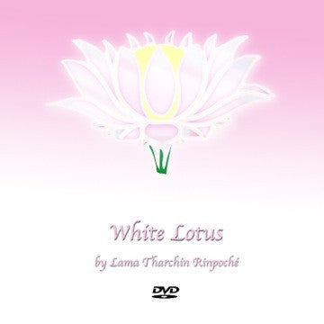White Lotus: Teachings on the Seven Line Prayer DVDs