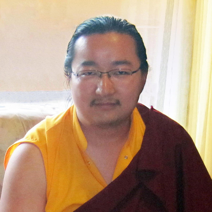 Dudjom Yangsi Rinpoche